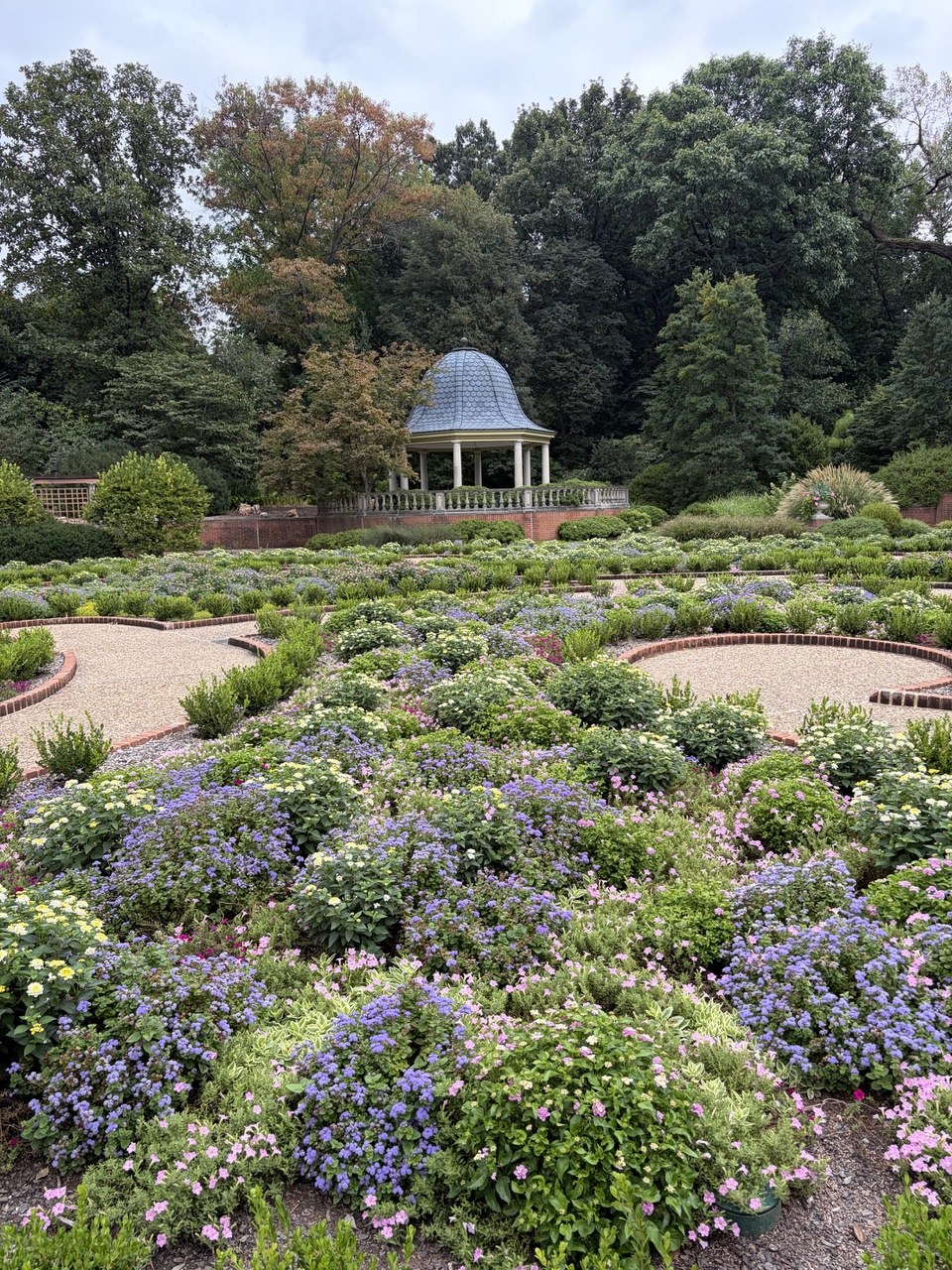 A boxwood parterre in the style of English 17th century formal gardens.